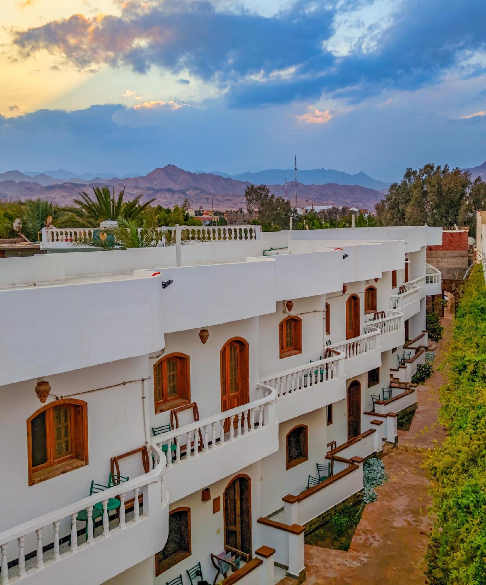 מלון דהב Ghazala Oasis מראה חיצוני תמונה